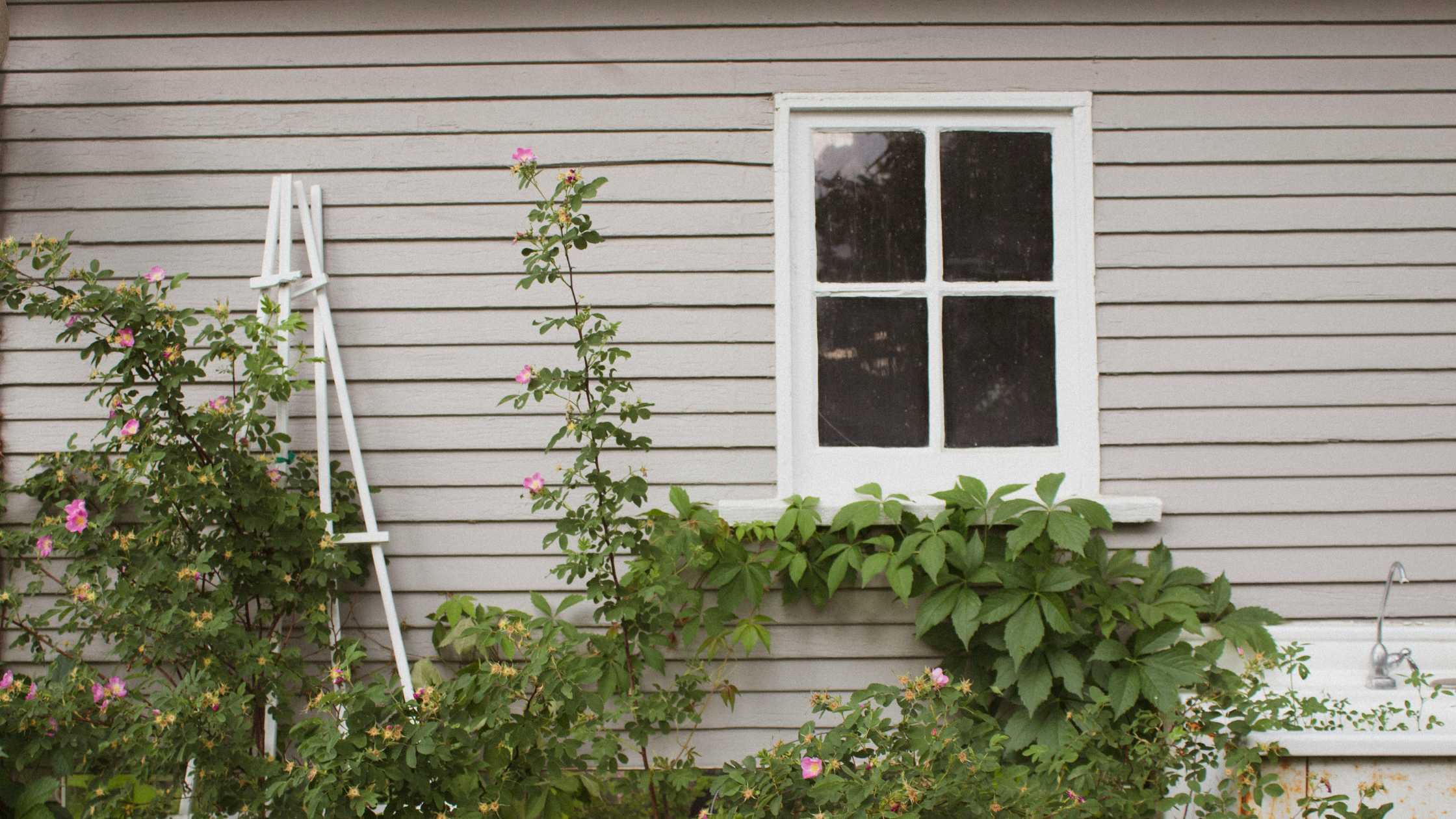 Garden shed painting with white or grey colours Garden shed painting with white or grey colours